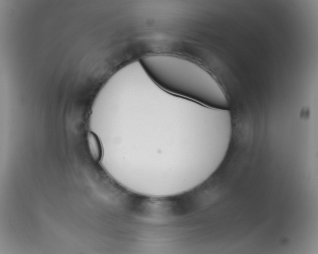 X0000113210221200910221110