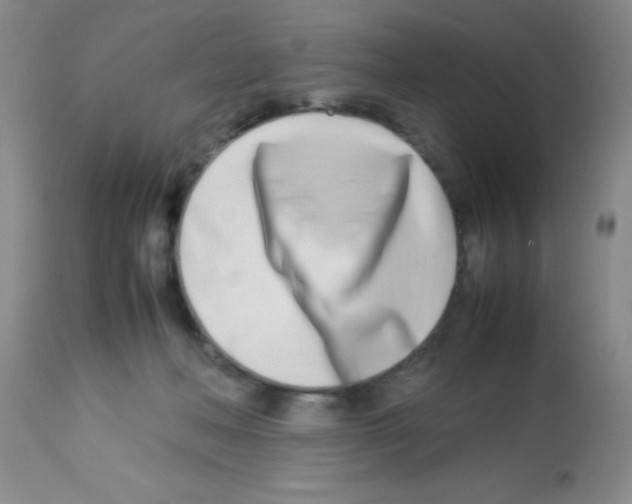 X0000113210222200910221110