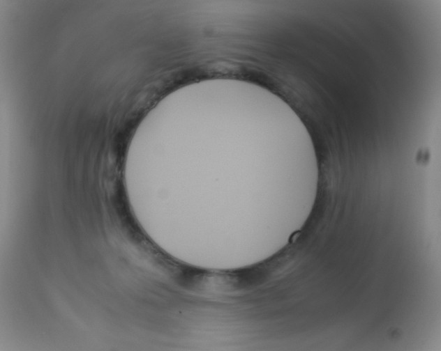 X0000113210223200910221110