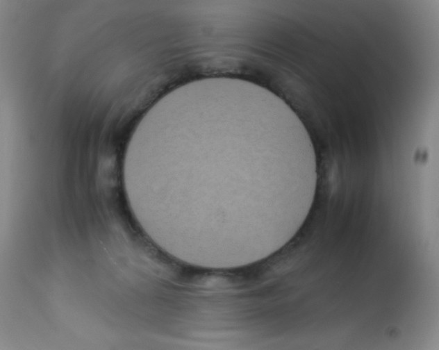 X0000113210224200910221110