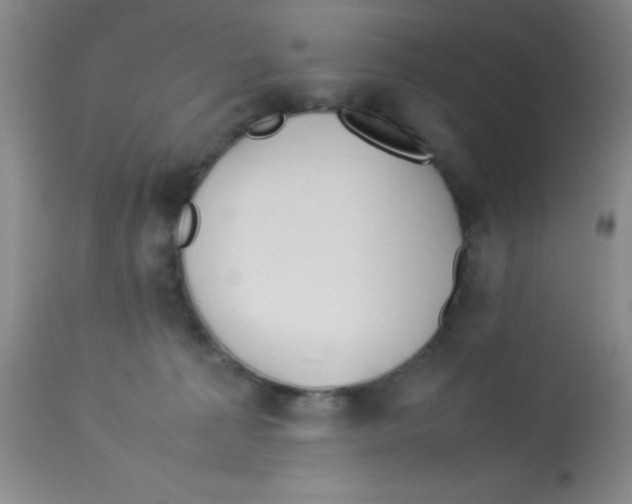 X0000113210225200910221110