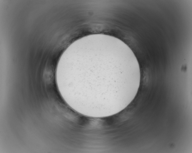 X0000113210226200910221110