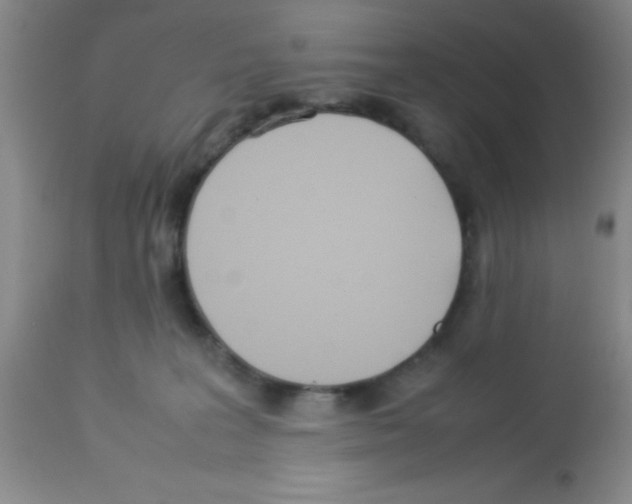 X0000113210227200910221110