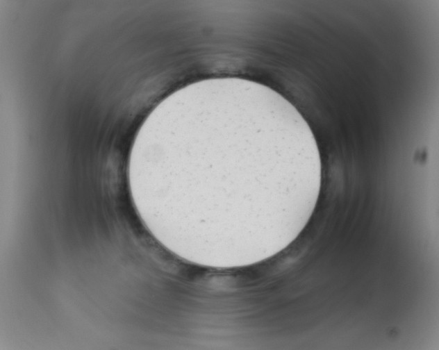 X0000113210228200910221110