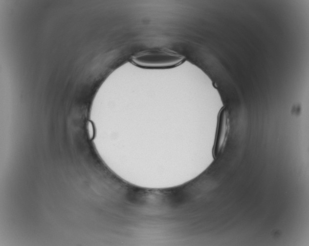 X0000113210229200910221110