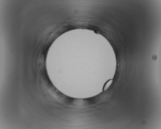 X0000113210231200910221110