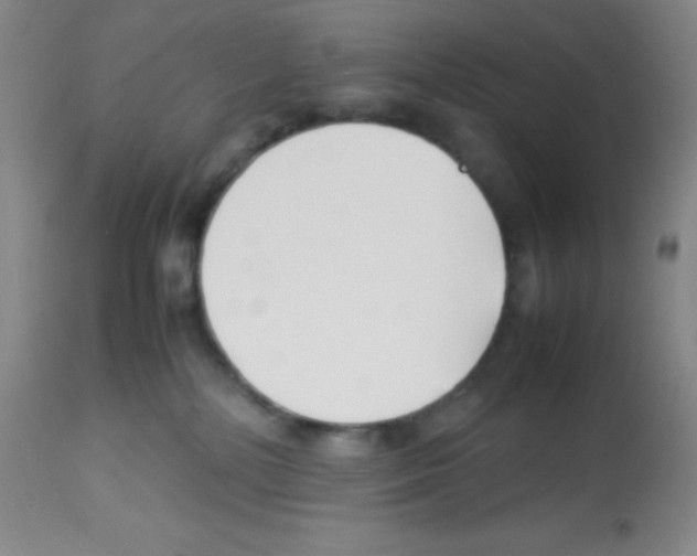 X0000113210232200910221110