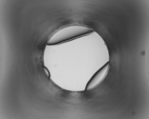 X0000113210233200910221110