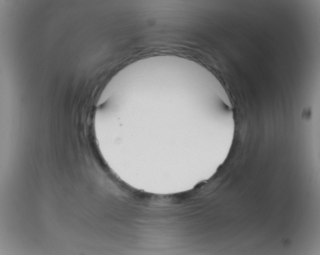 X0000113210235200910221110