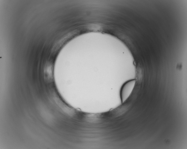 X0000113210238200910221110