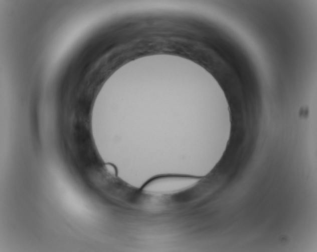 X0000113210239200910221109