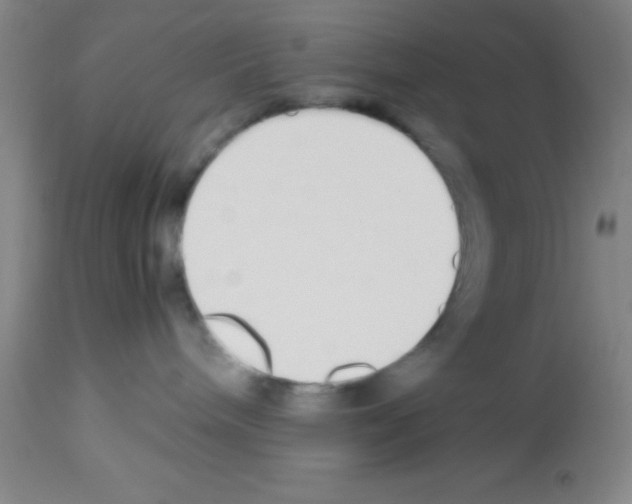 X0000113210240200910221109