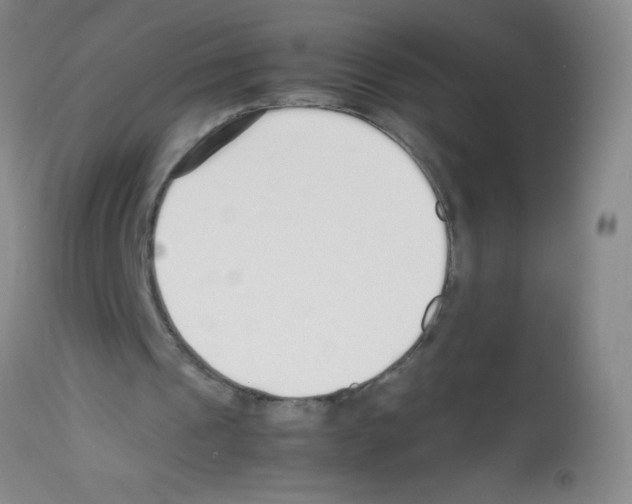 X0000113210241200910221109