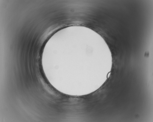 X0000113210242200910221109