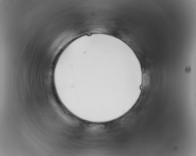 X0000113210243200910221109