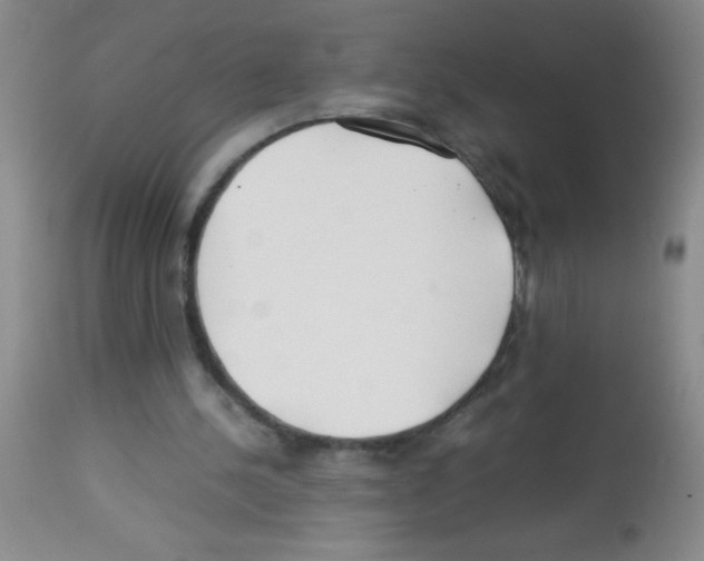 X0000113210244200910221109