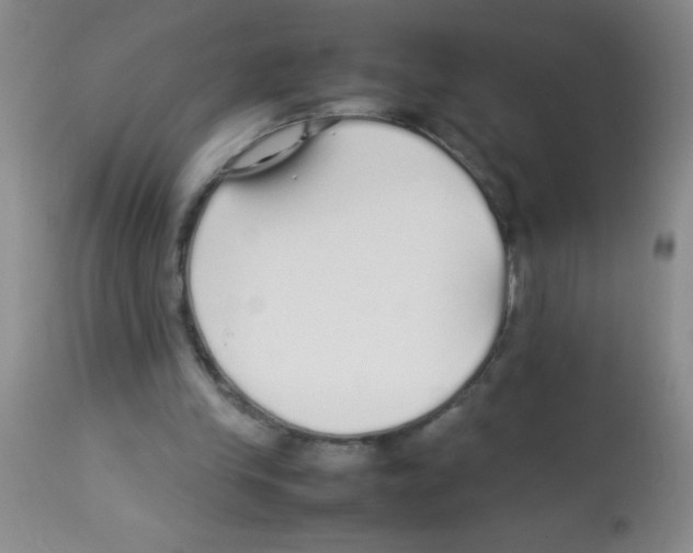 X0000113210245200910221109