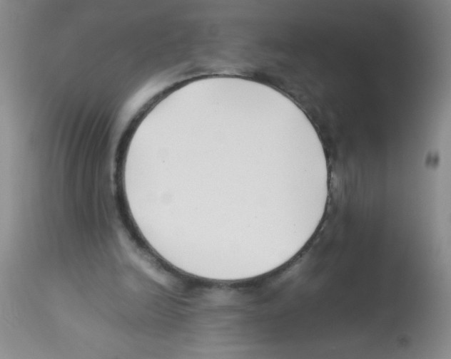 X0000113210246200910221109