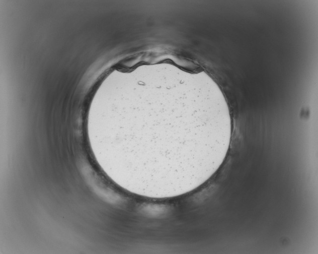 X0000113210247200910221109