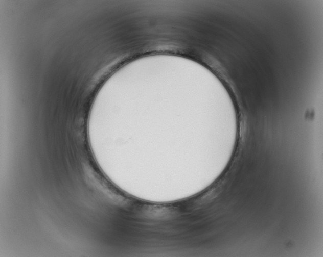 X0000113210249200910221109