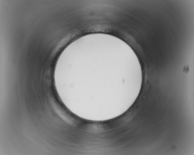 X0000113210250200910221109