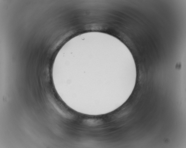 X0000113210251200910221109