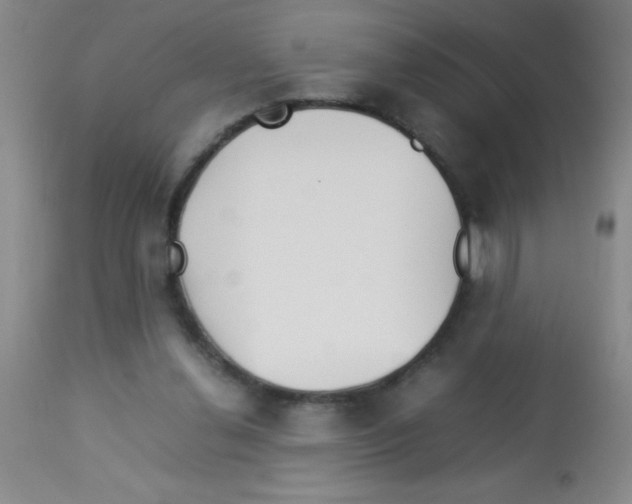 X0000113210252200910221109