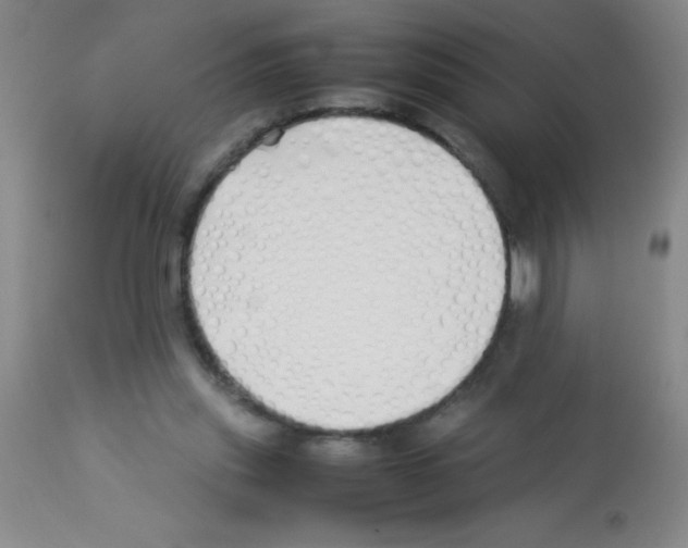 X0000113210253200910221109