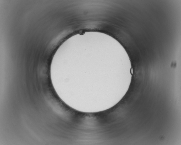 X0000113210256200910221109