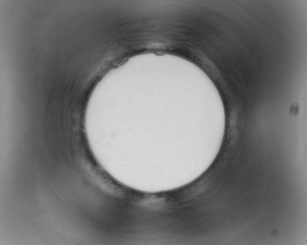 X0000113210257200910221109