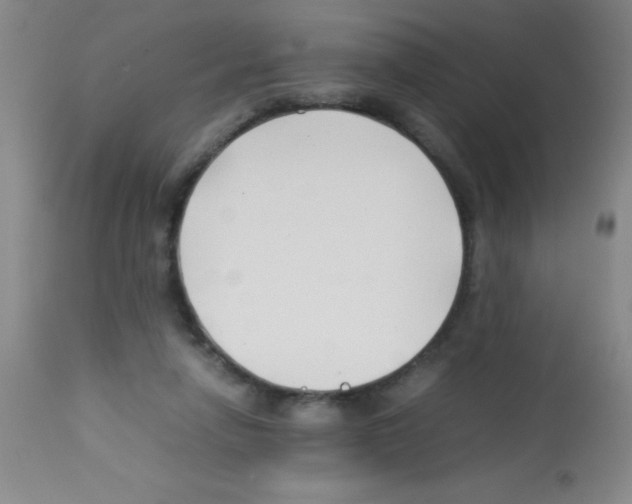 X0000113210258200910221109