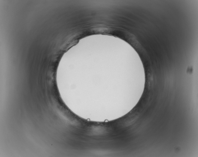 X0000113210259200910221109