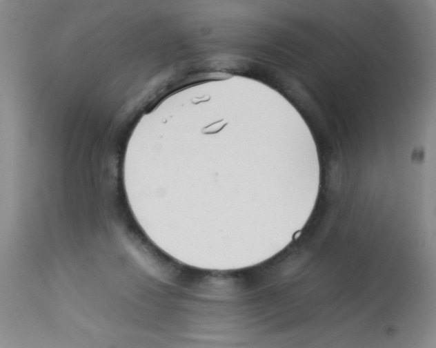 X0000113210260200910221109