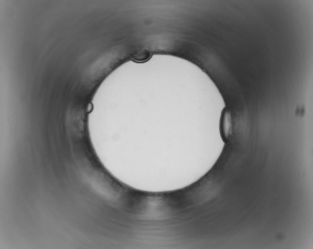 X0000113210264200910221109