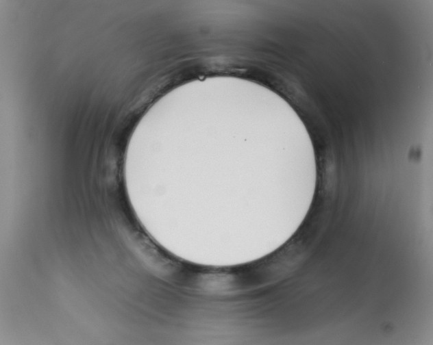 X0000113210266200910221109