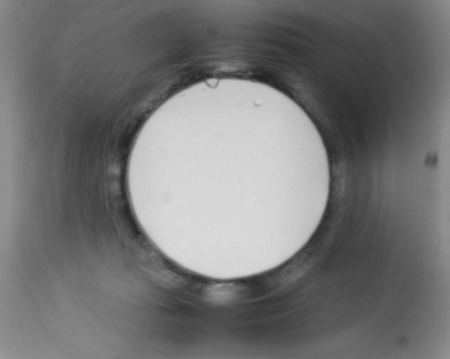 X0000113210269200910221109