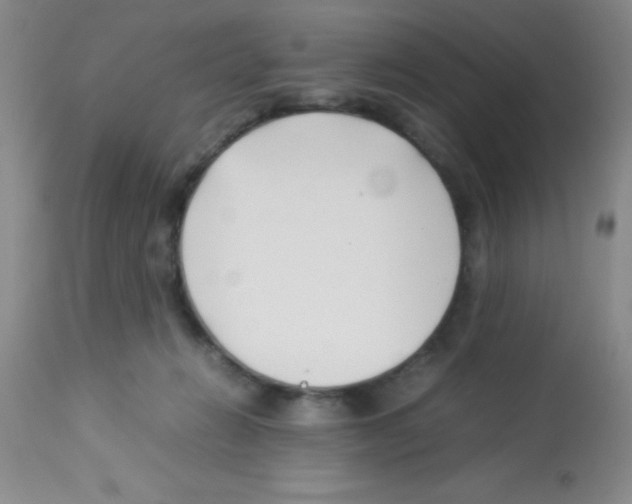 X0000113210270200910221109