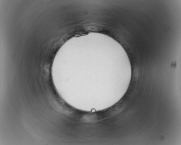 X0000113210271200910221109