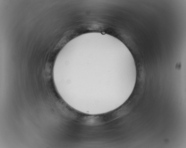 X0000113210273200910221109