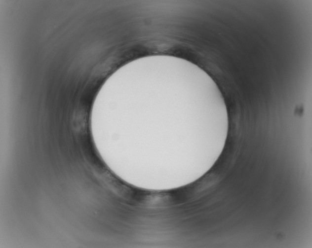 X0000113210274200910221109