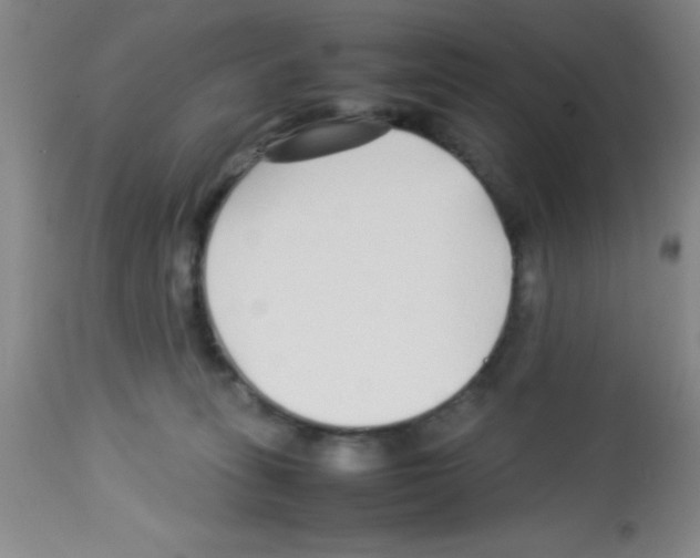 X0000113210275200910221109