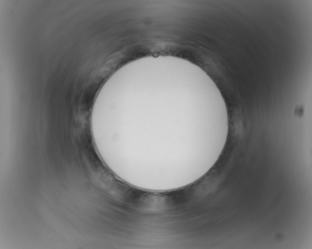 X0000113210276200910221109