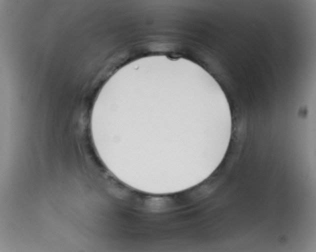 X0000113210277200910221109