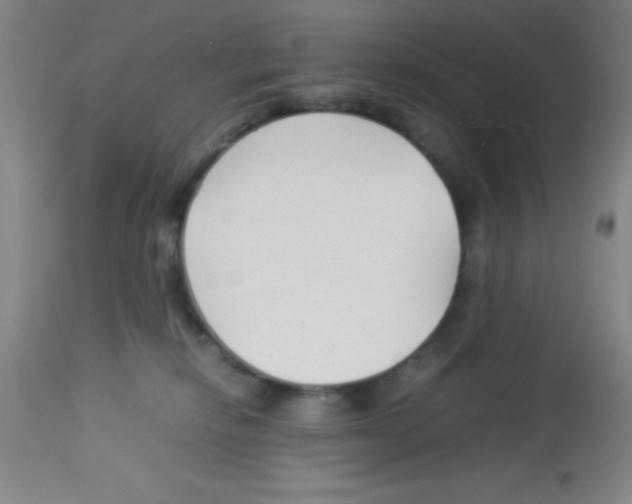 X0000113210278200910221109