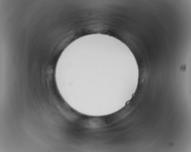 X0000113210279200910221109