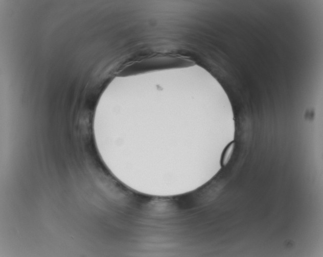 X0000113210280200910221109