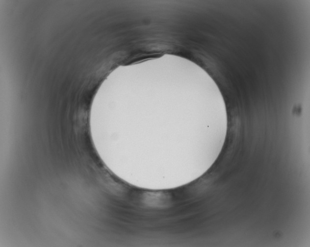 X0000113210281200910221109