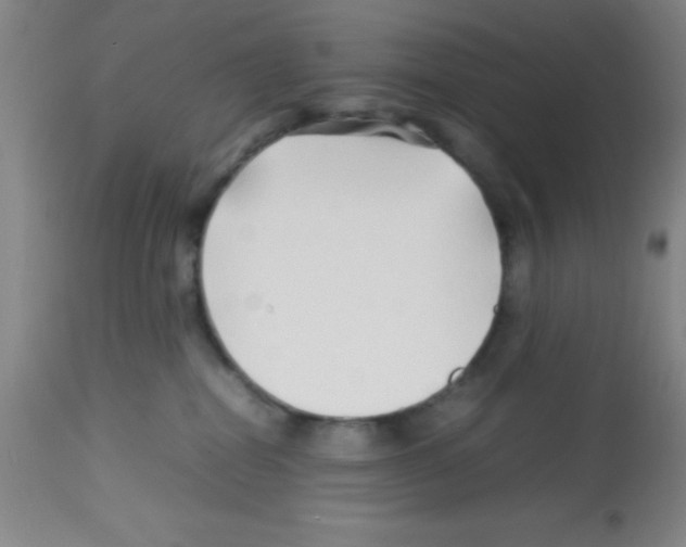 X0000113210282200910221109