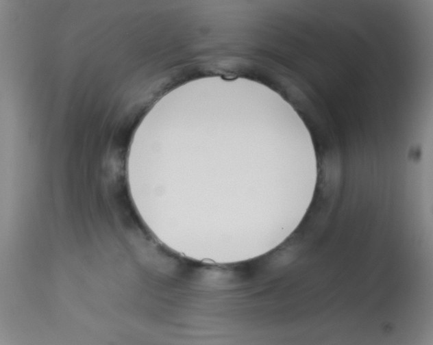 X0000113210284200910221109