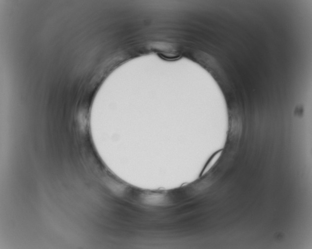 X0000113210285200910221109